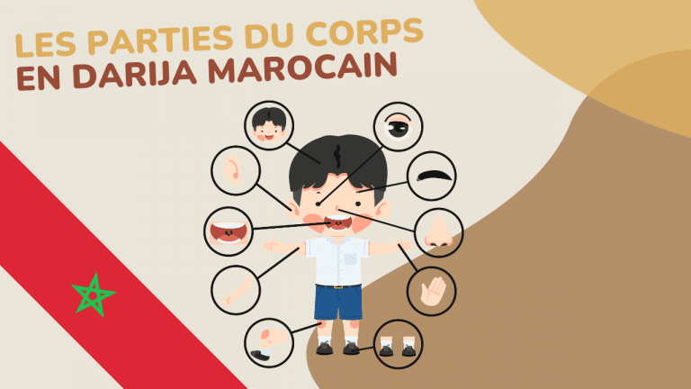 Les parties du corps en darija marocain